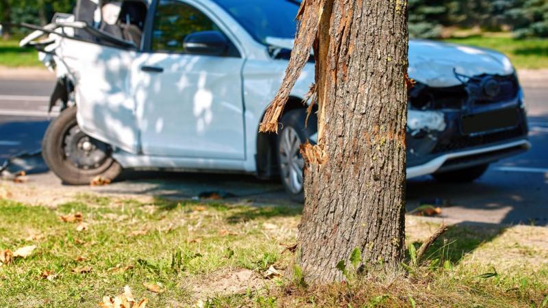 Tatabányán egy tanár különös döntést hozott: a diákokat autószerelésre küldte. Az izgalmasnak tűnő feladat azonban váratlan balesetet és komoly botrányt eredményezett.