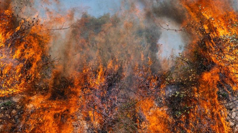 Fakadnak a lángok, hatalmas tűzvihar söpör végig Nyársapáton, és a tüzek villámgyorsan terjednek, mintha csak a szél szárnyain repülnének.
