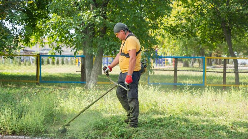 Nem vonzza a kaszálás? Talán egy ötmilliós bírság felkeltené az érdeklődését!