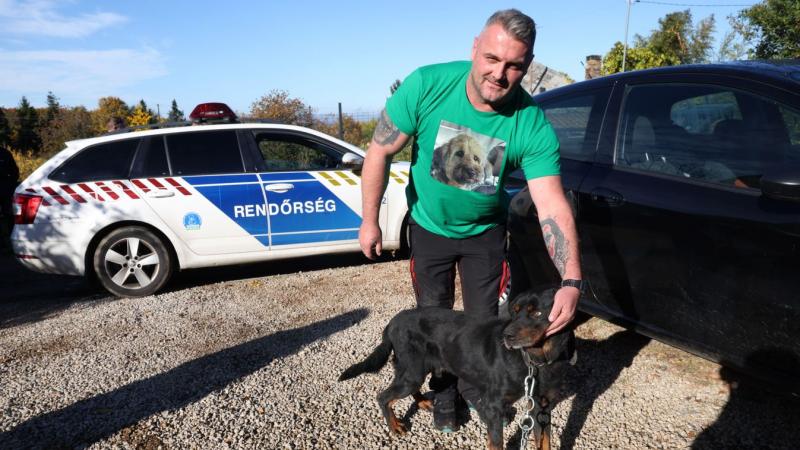 Szörnyű állapotok közül, rendőri közreműködéssel szabadították ki a csontsovány kaposvári rottweiler kutyákat - FOTÓK, VIDEÓK.