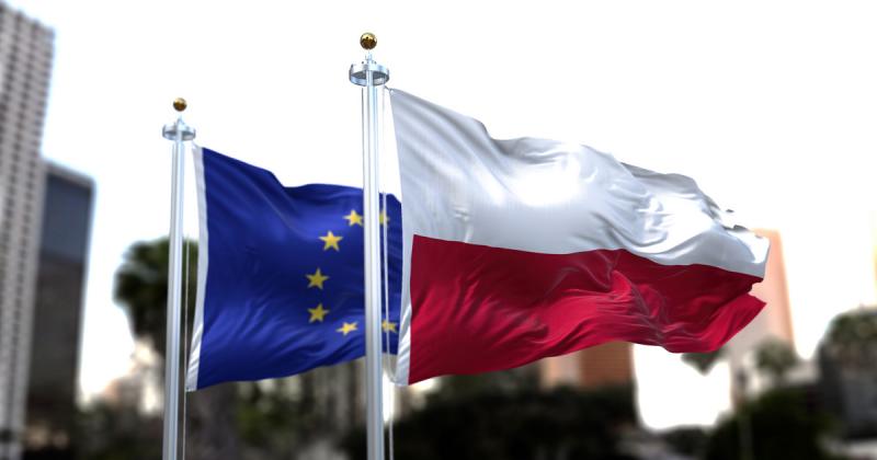 Lengyelország egy eldugott erdejében több száz éves magyar kincsekre bukkantak, amelyek felkeltették a régészek és a történészek figyelmét.