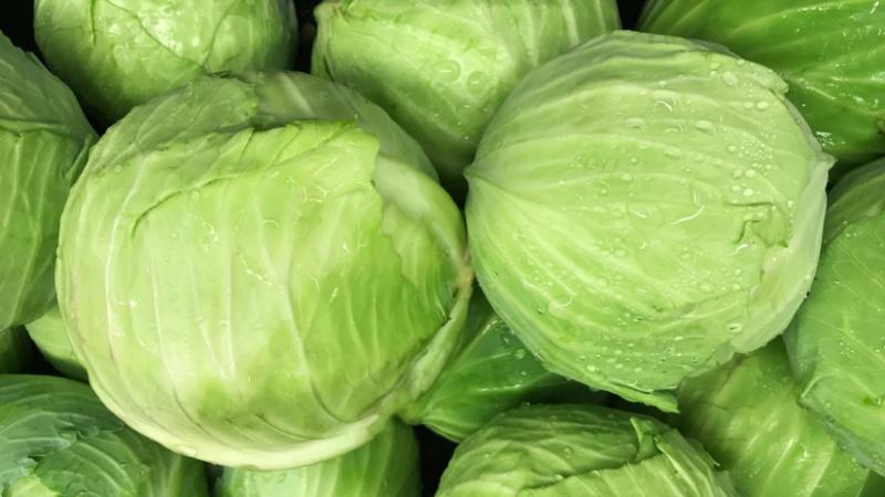 Megdöbbentő árak a lengyel piacokon: drámai fordulatok a zöldségkereskedelemben - Agro Napló